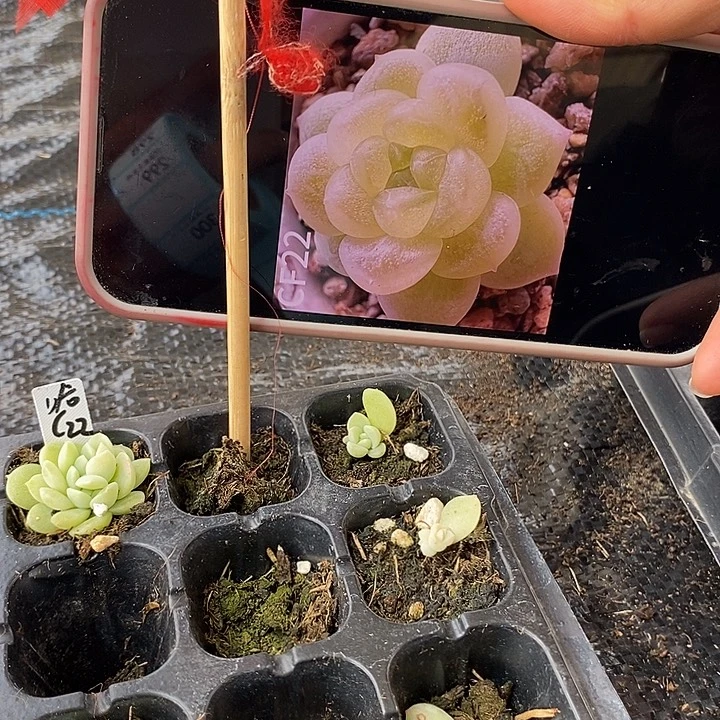 标292财富哈c22打包尾货