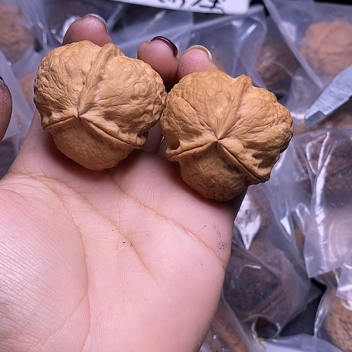 把件文玩核桃云南文玩核桃70号40m