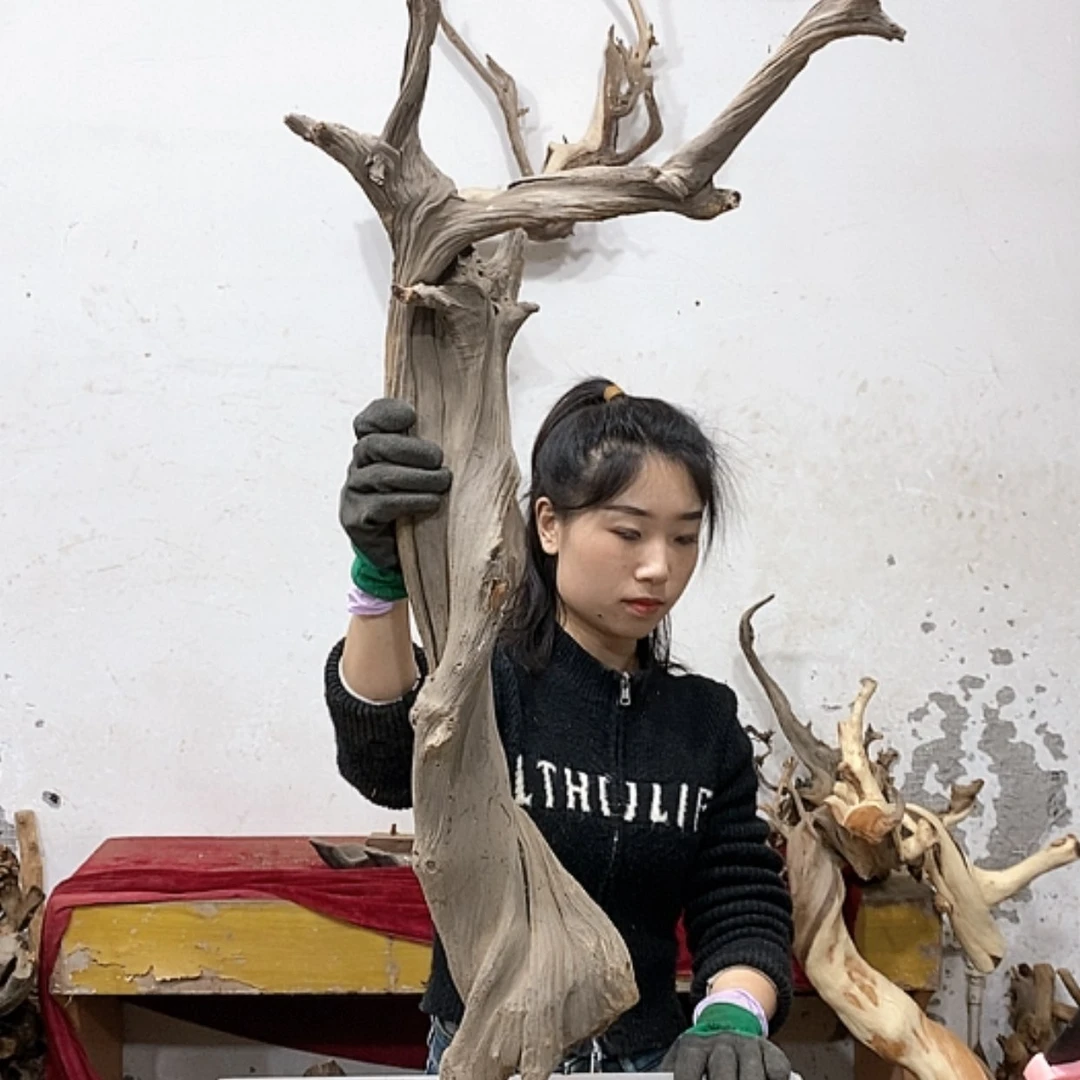 【闪购商品】柏木玉**缘我们都是好孩子