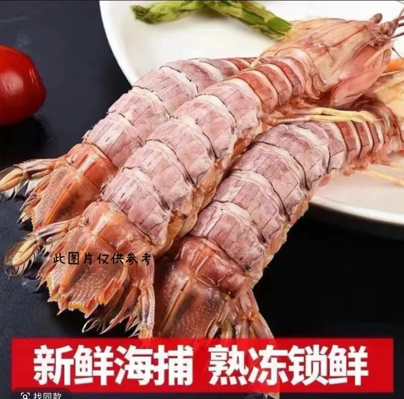 熟冻野生皮皮虾虾爬虾菇包肥野生海捕速冻顺丰冷链发货 送椒盐