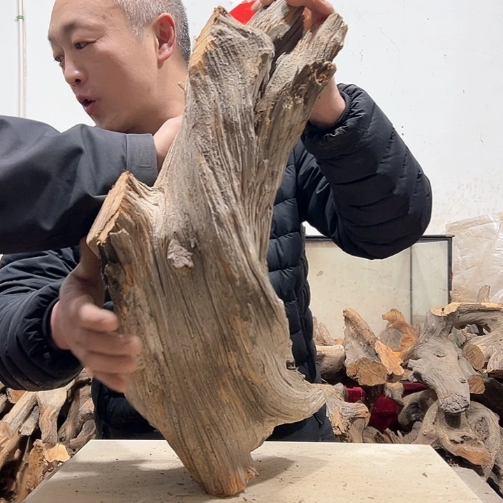 柏木不**问我们的生活也是如此