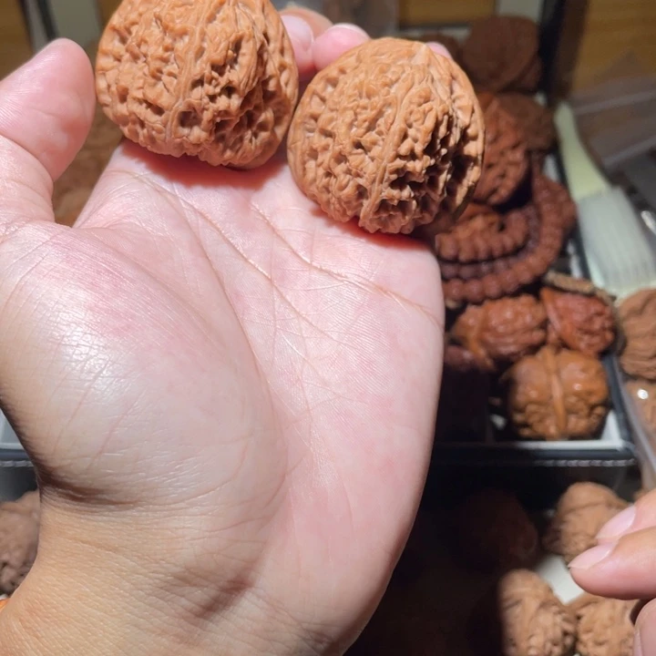 43尺寸南疆石狮子头