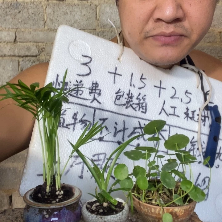 退款拉黑一物一拍32