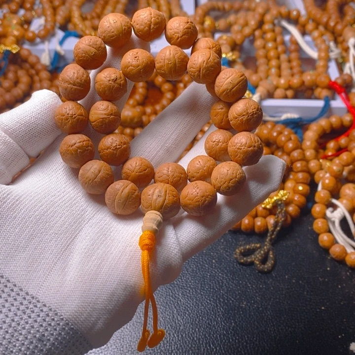 尼泊尔d g h k l x b n m