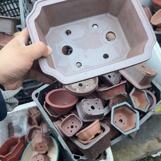 你是怎么说出这个问题呢是怎么个原因