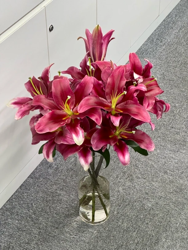 浓香型永恒的爱稀有百合鲜切花云南基地直发顺丰包邮