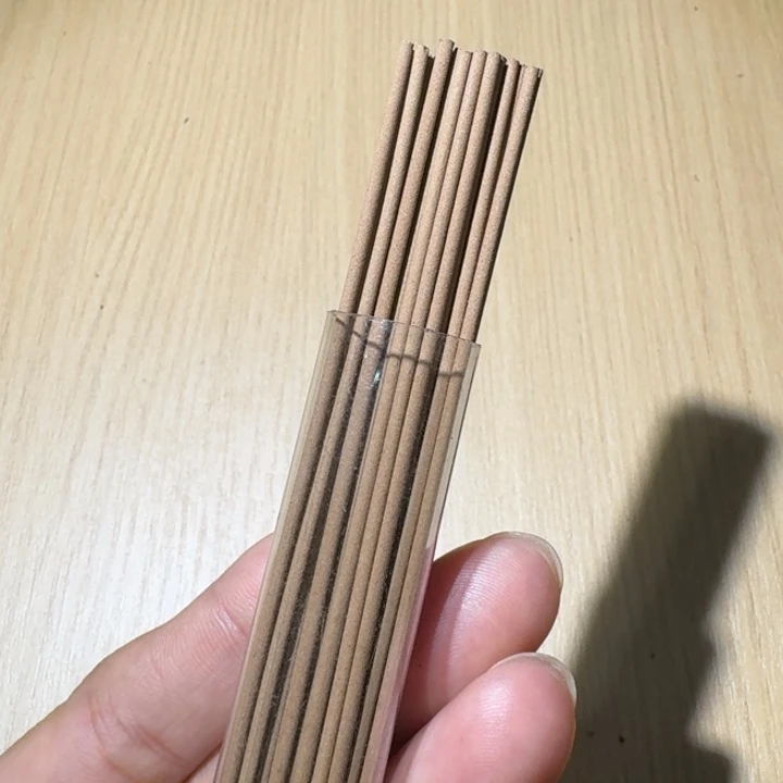 楠木薰香虫漏线香10克
