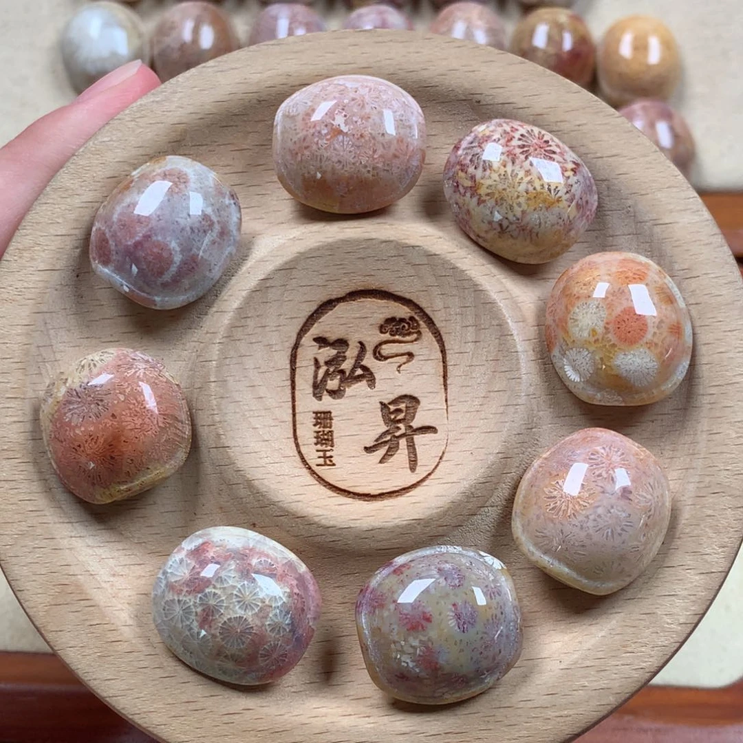 硅化珊瑚（珊瑚玉）小龟背漏30米/个。15号未镶嵌