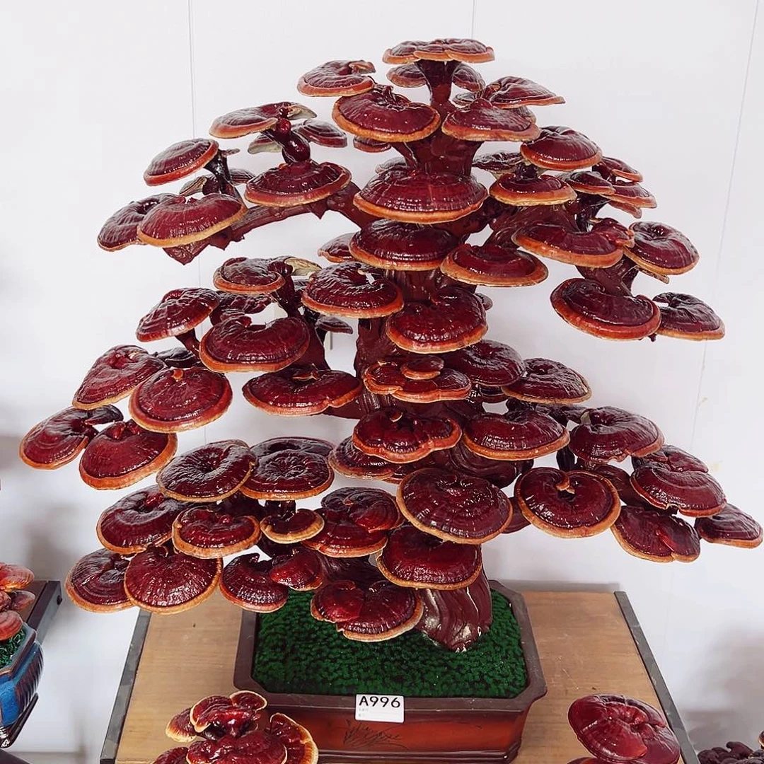 【闪购商品】全部花朵