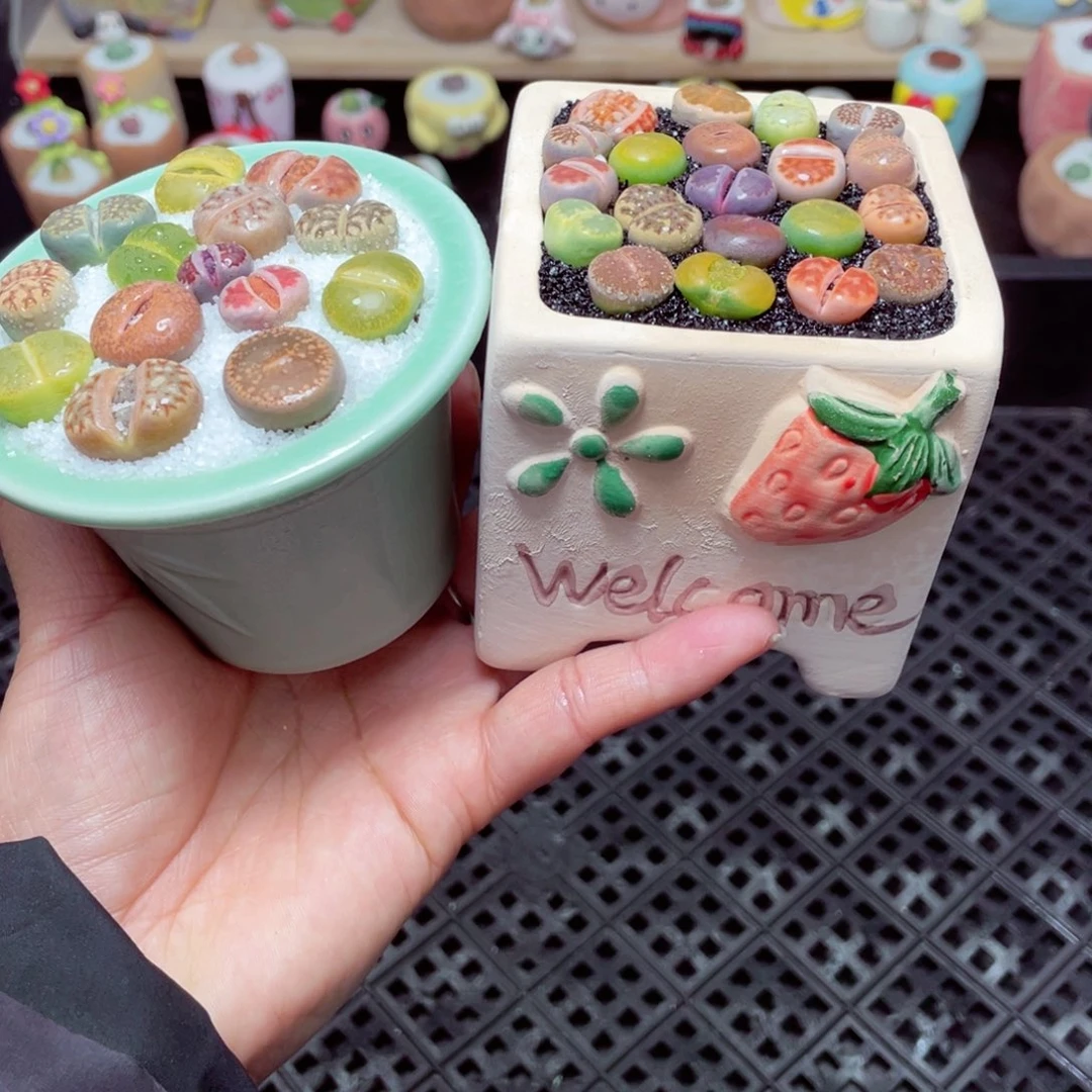 w8089 带盆土发货-零下地区拍保温箱