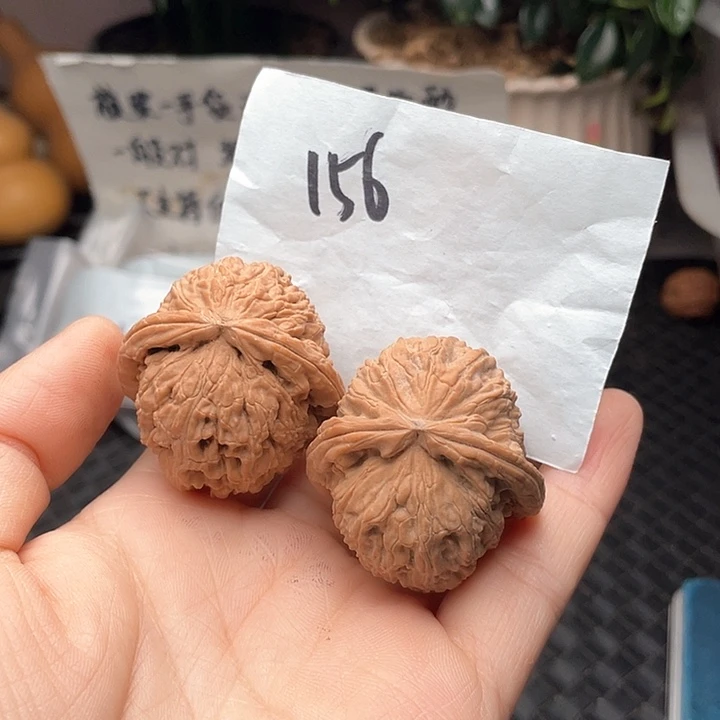 38尺寸白茬无修白狮子