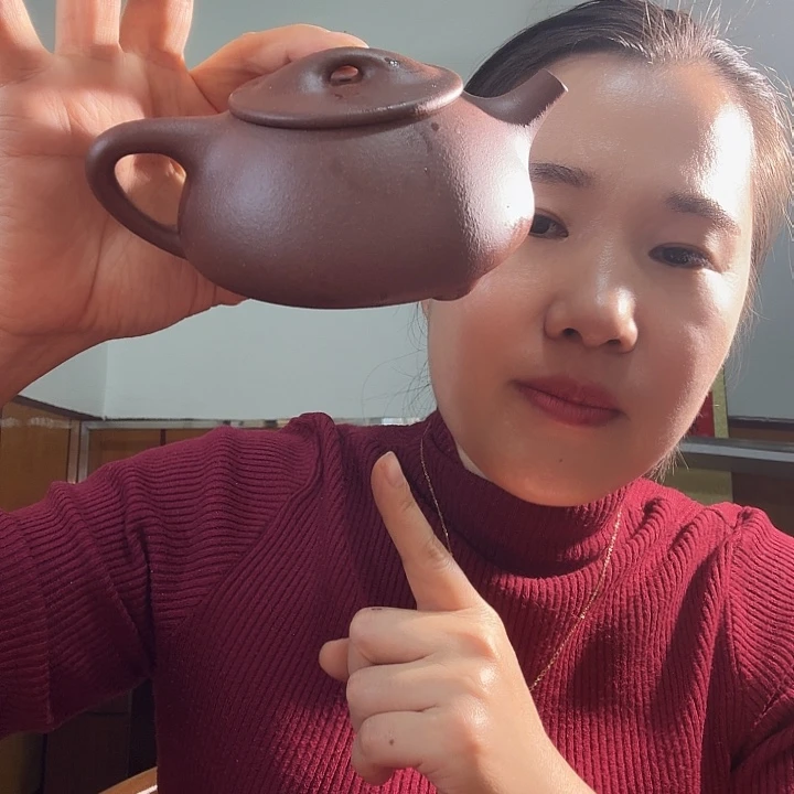 紫砂茶壶紫泥景州石瓢280cc