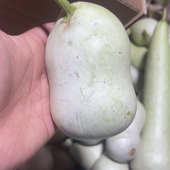 非洲紫檀（红花梨）南***意