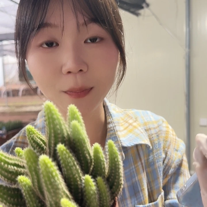 马尔文荣耀（掉头掉崽不售后）