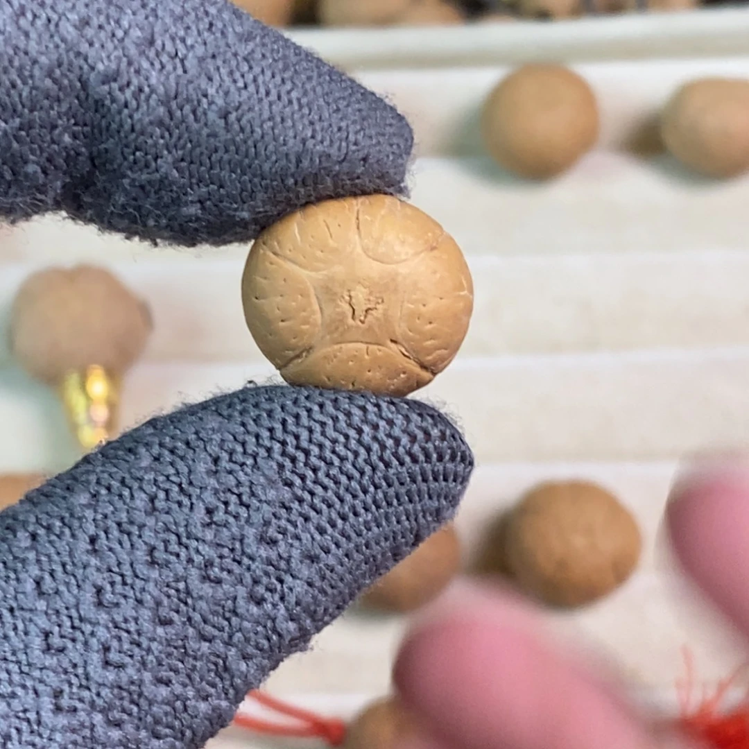 吊坠麒麟眼菩提16.8五星单颗