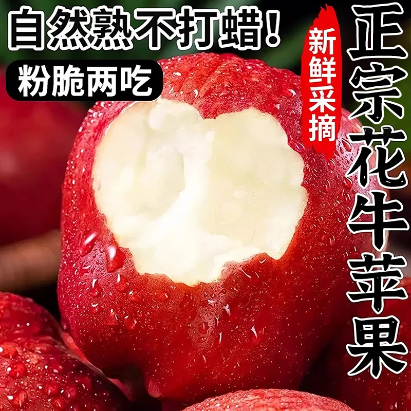 当季正宗花牛苹果新鲜水果平果红蛇粉面脆甜丑果孕妇整箱甘肃天水甘肃省
