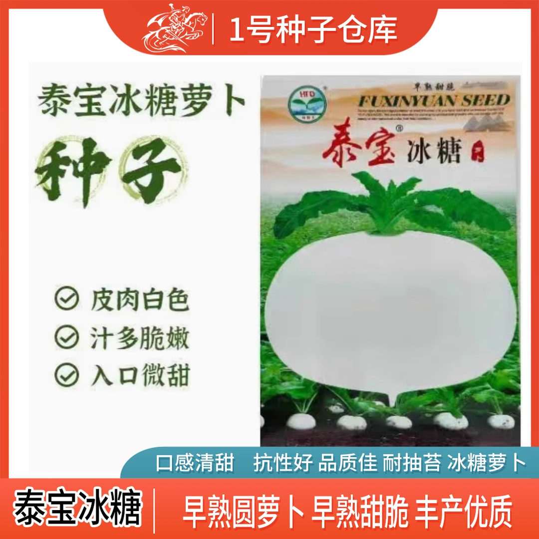 四川圆白萝卜种子早熟冰糖萝卜种子秋季种植圆萝卜种籽蔬菜种子