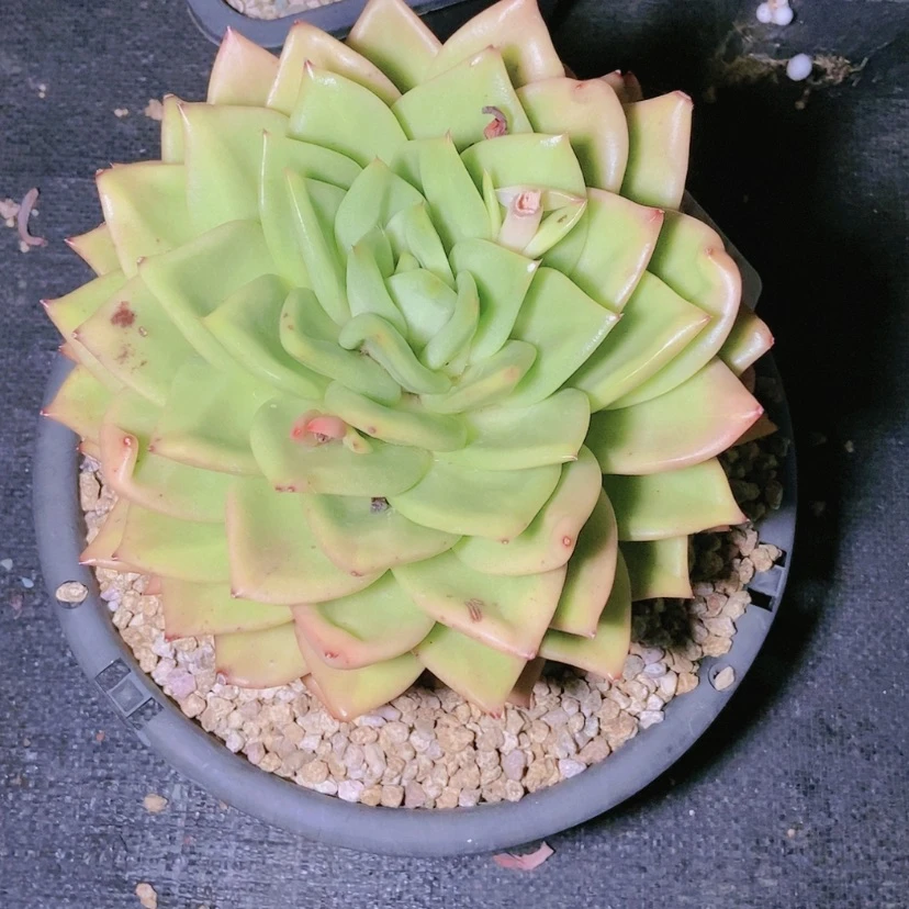 【闪购商品】不****调0485