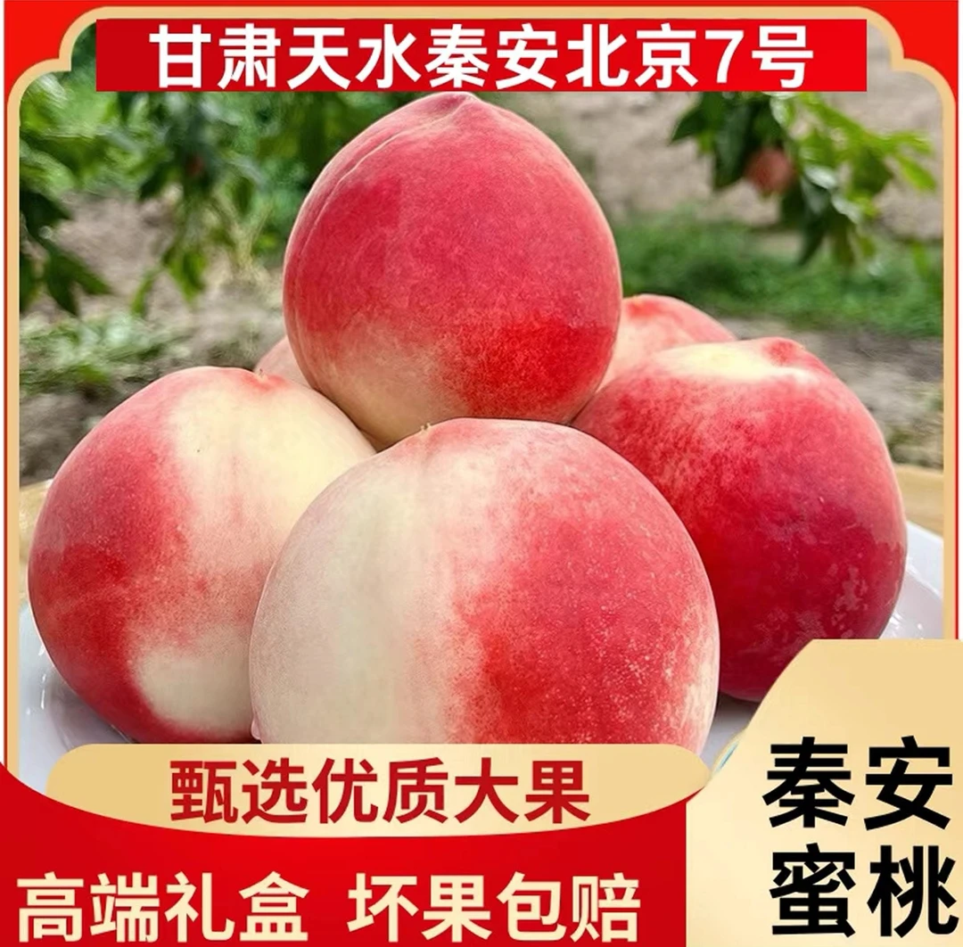 【秦安蜜桃】甘肃秦安水蜜桃现摘高原种植特产孕妇应季新鲜农家自种