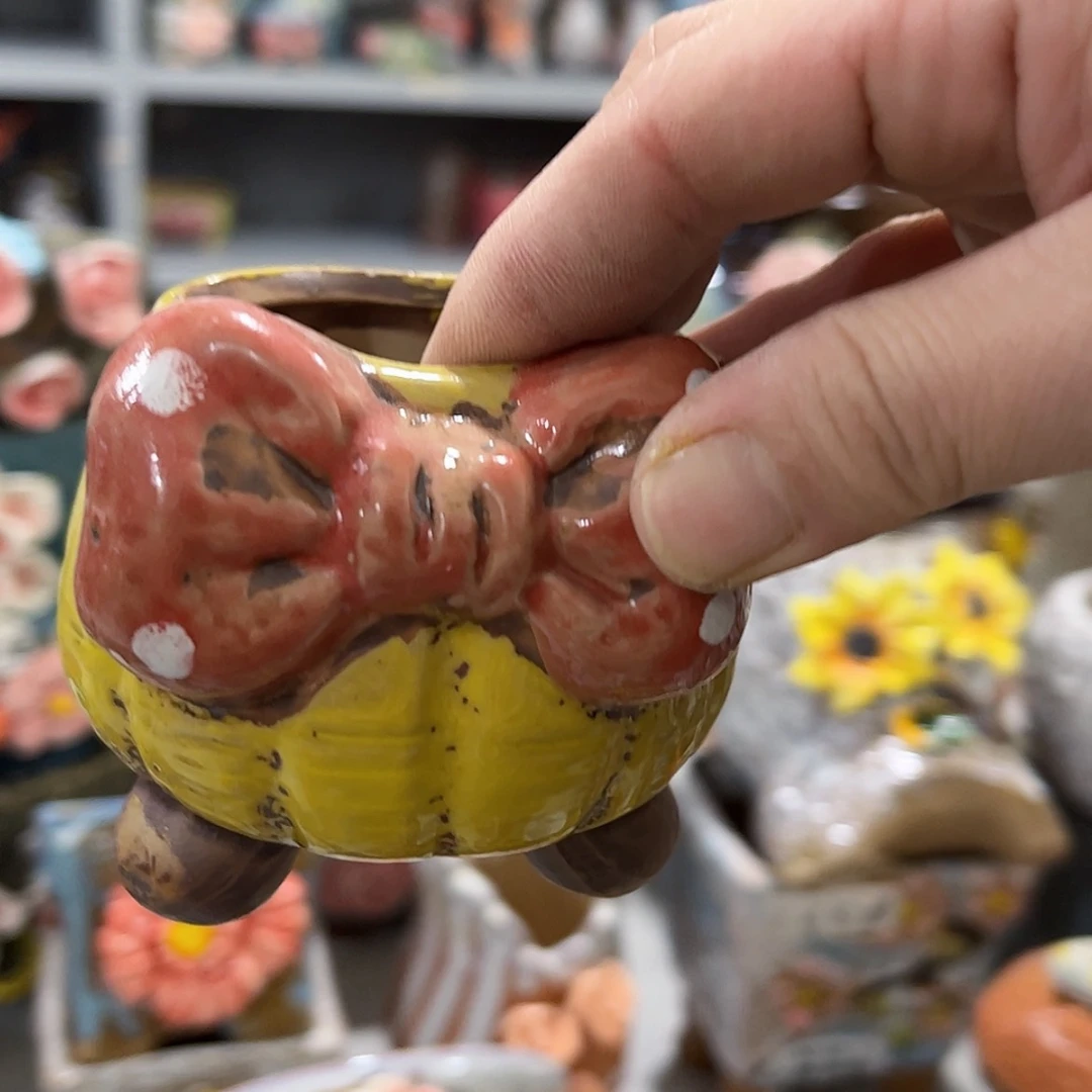 【闪购商品】红陶福利