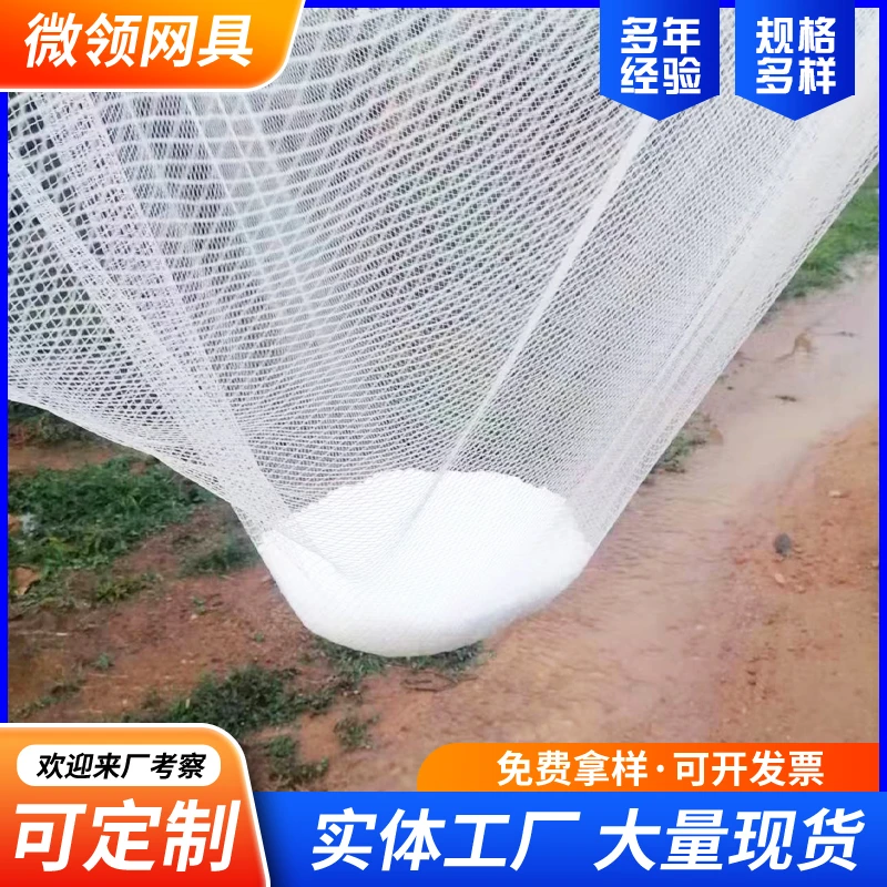 农用果园防鸟网葡萄樱桃鱼虾蟹池塘稻谷车棚防雹网尼龙网软网