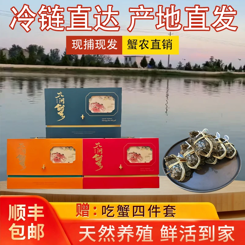 臻品江苏大闸蟹/精美礼盒装/ 全母蟹3两 （2.8-3.2规格）8只装