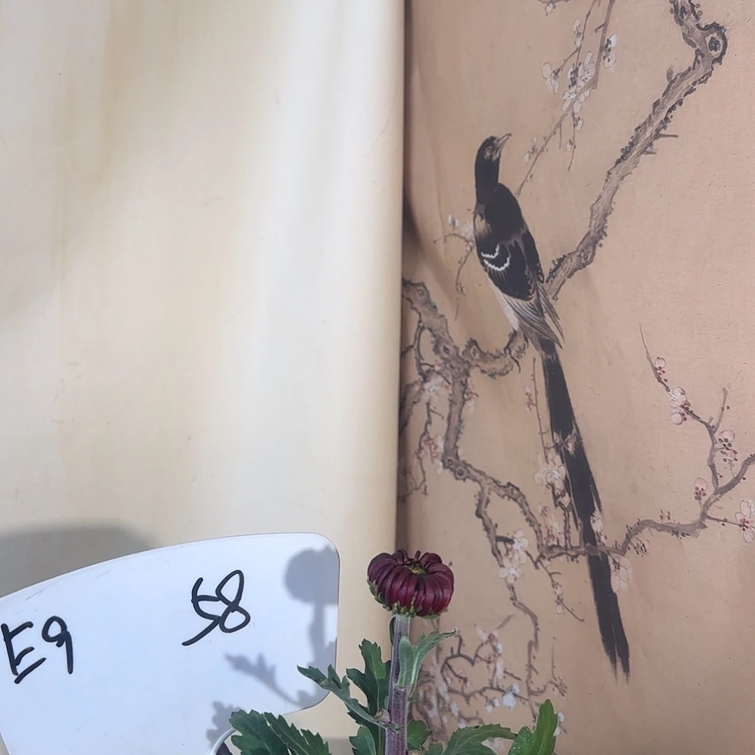 全部花朵E999999999