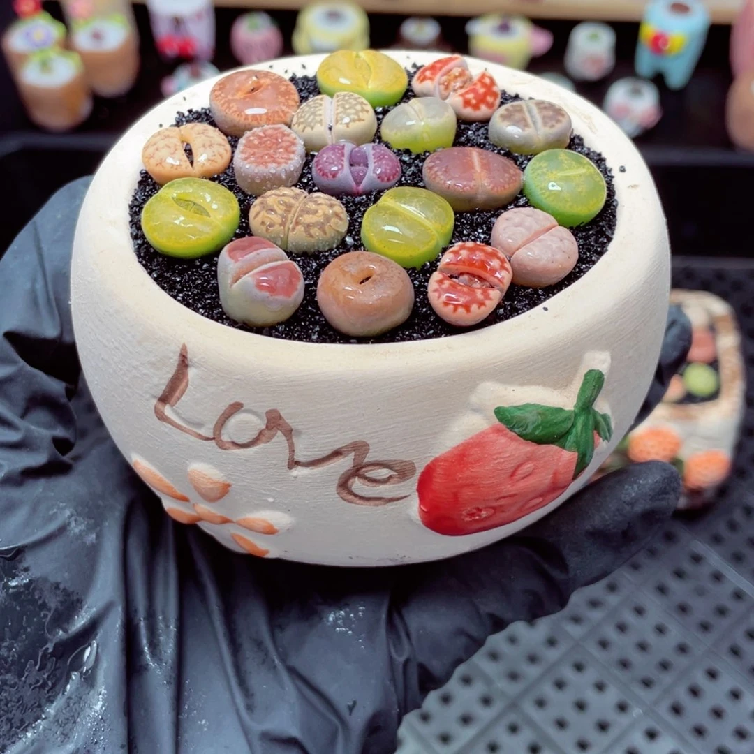 w8173 带盆土发货-零下地区拍保温箱