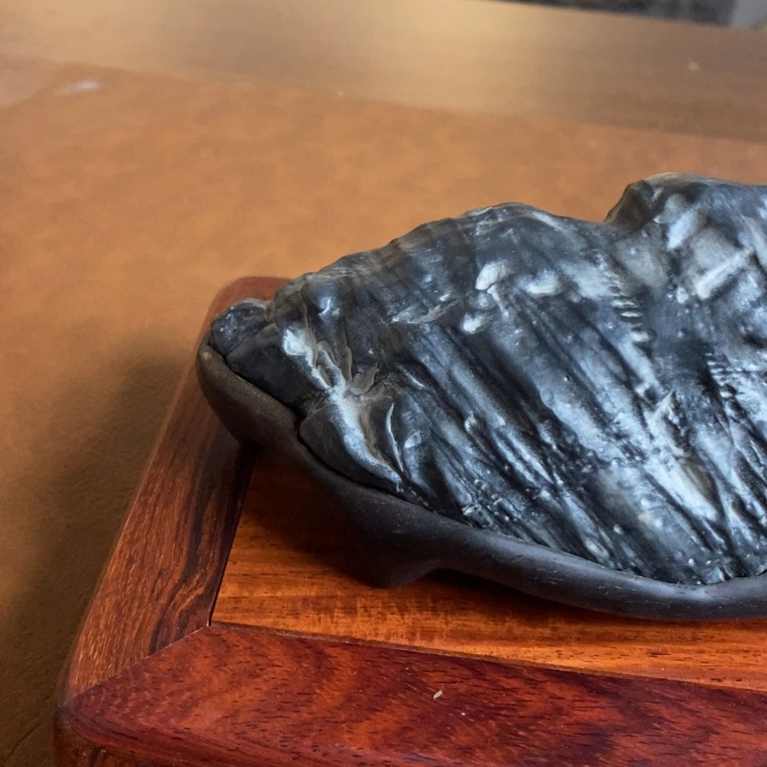 水***在jvvhhhbhjhhggvvb