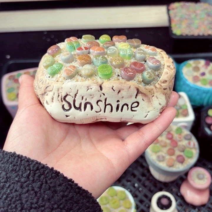 673零下地区记得拍保温箱满18包邮