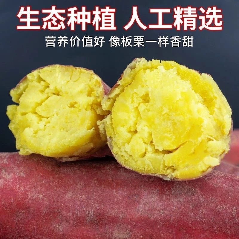 【3斤送2斤】陕西沙地粉糯板栗红薯番薯农家自种美味香甜地瓜