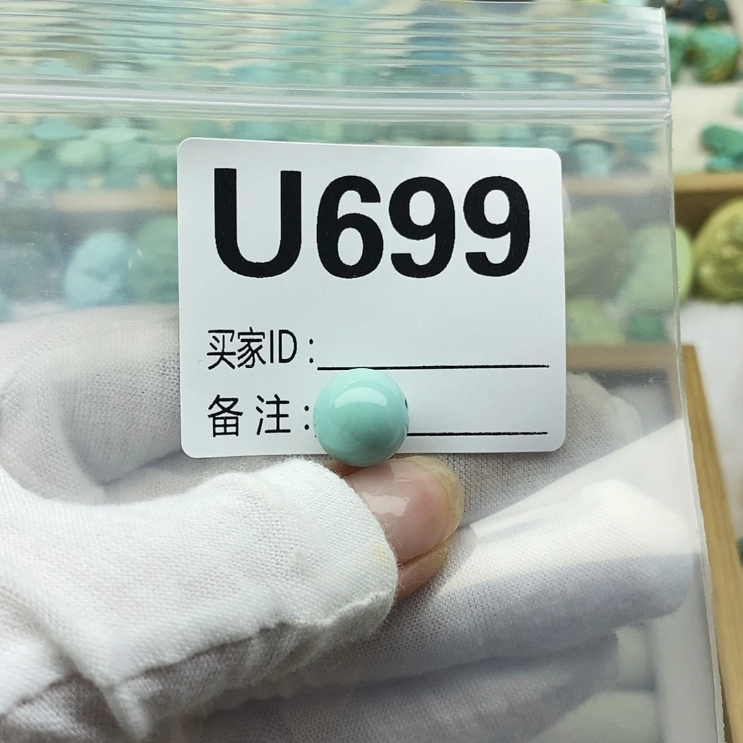 郭***未镶嵌绿松石配饰
