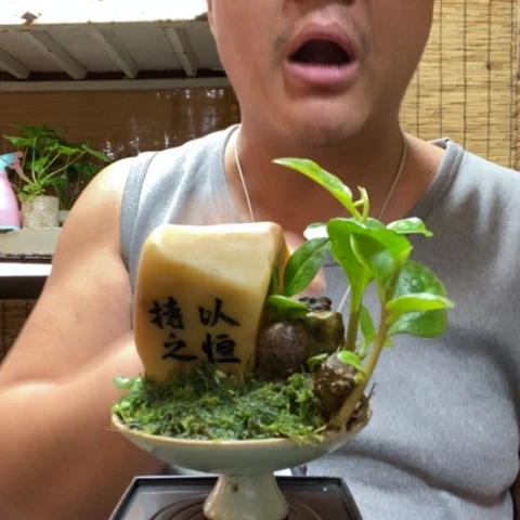 红陶一物一拍所见即所得102