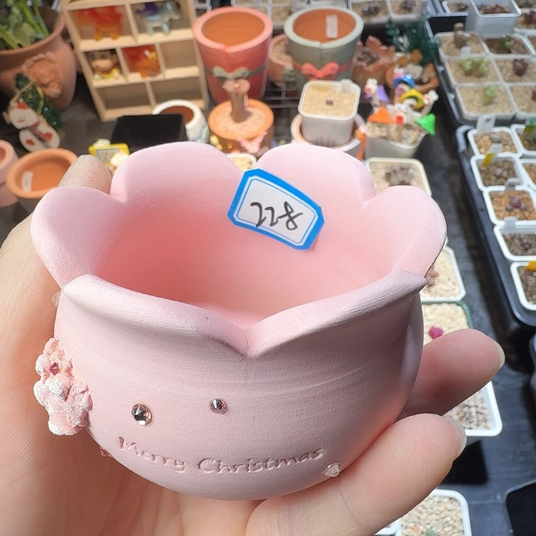 专**头dy17 猪宝宝 韩国心房