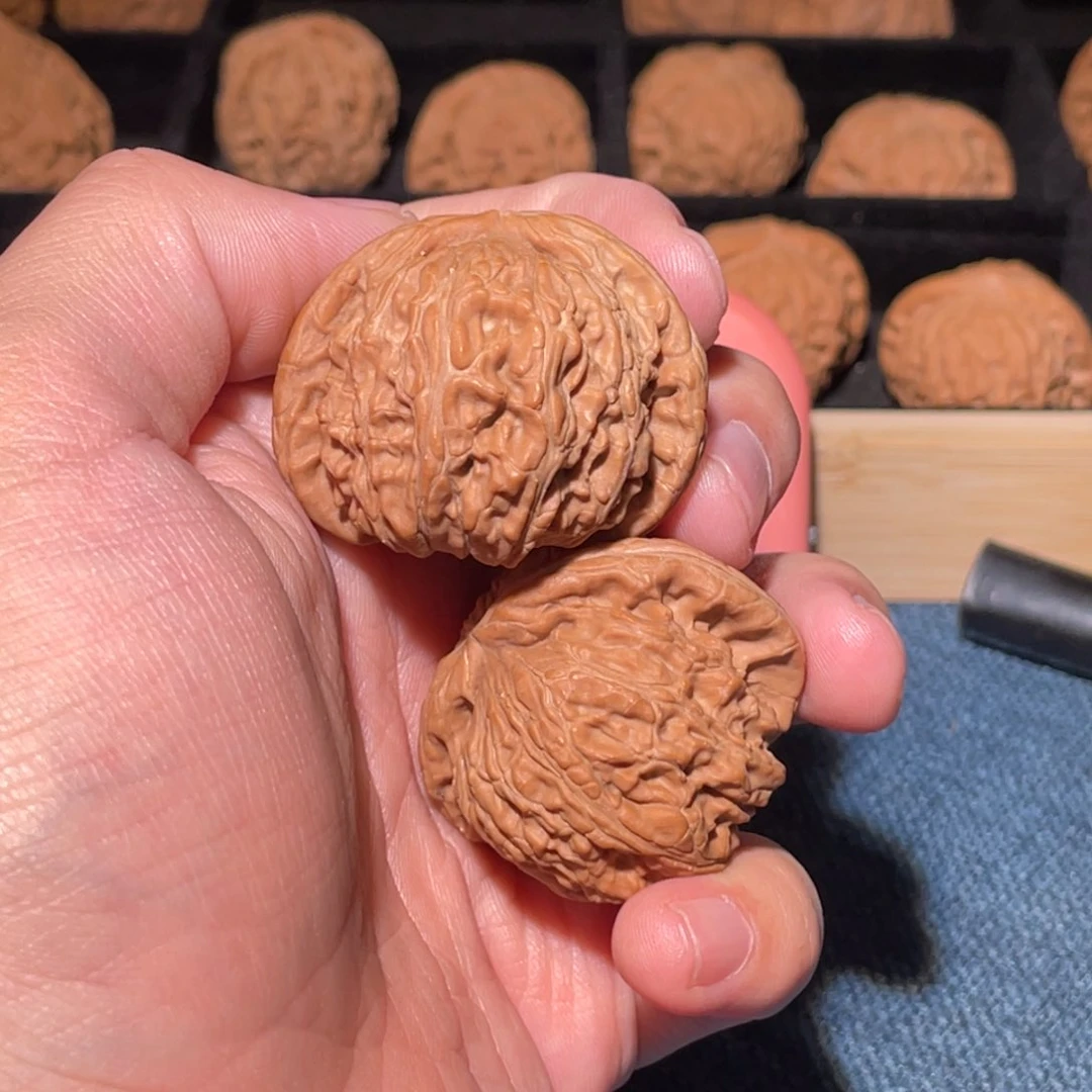 文玩核桃把件知****室58999999999