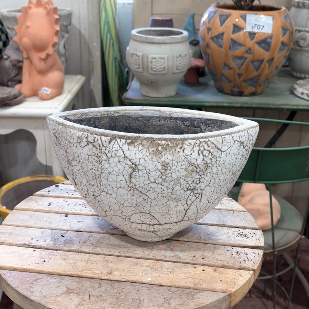 许纯的花房 孤品012