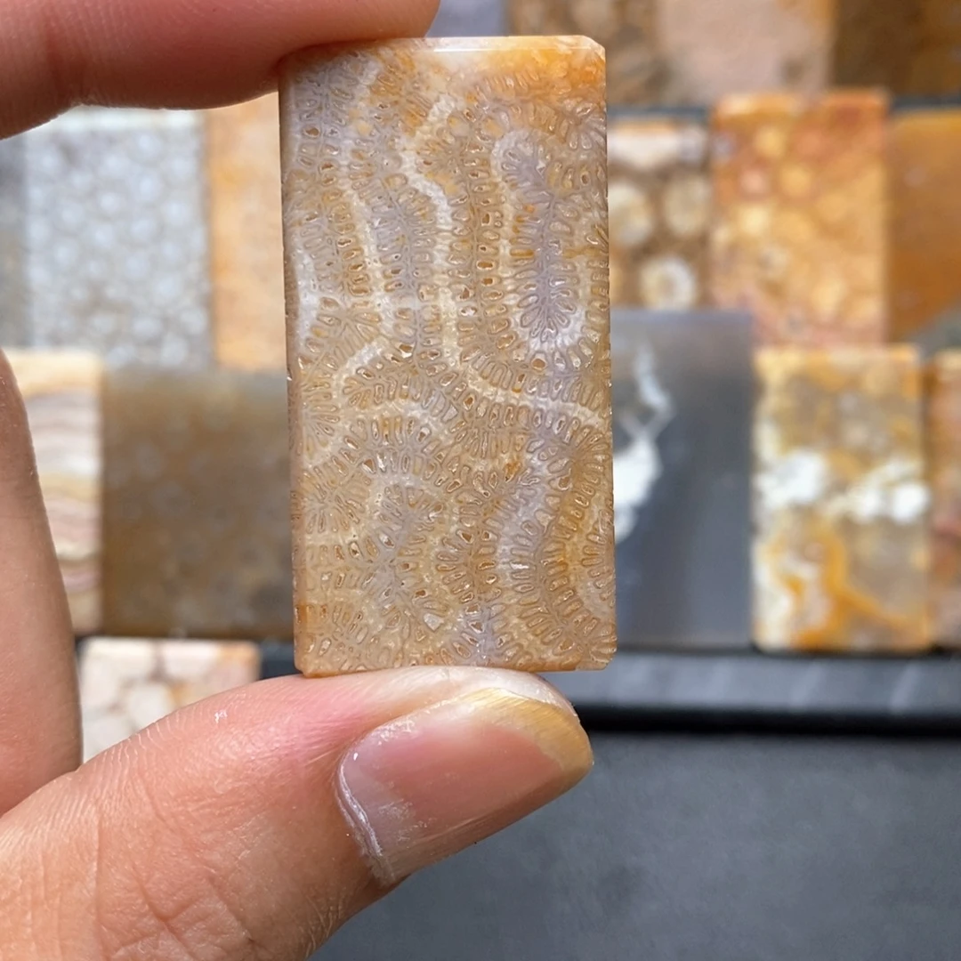 乱***河硅化珊瑚（珊瑚玉）未镶嵌颈饰