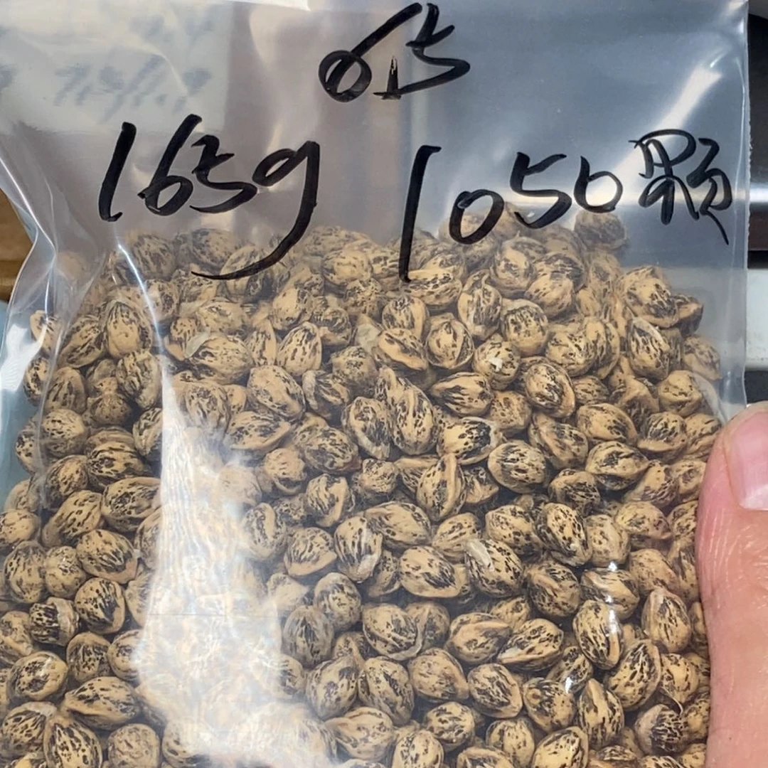 柏香籽/百香籽吊坠