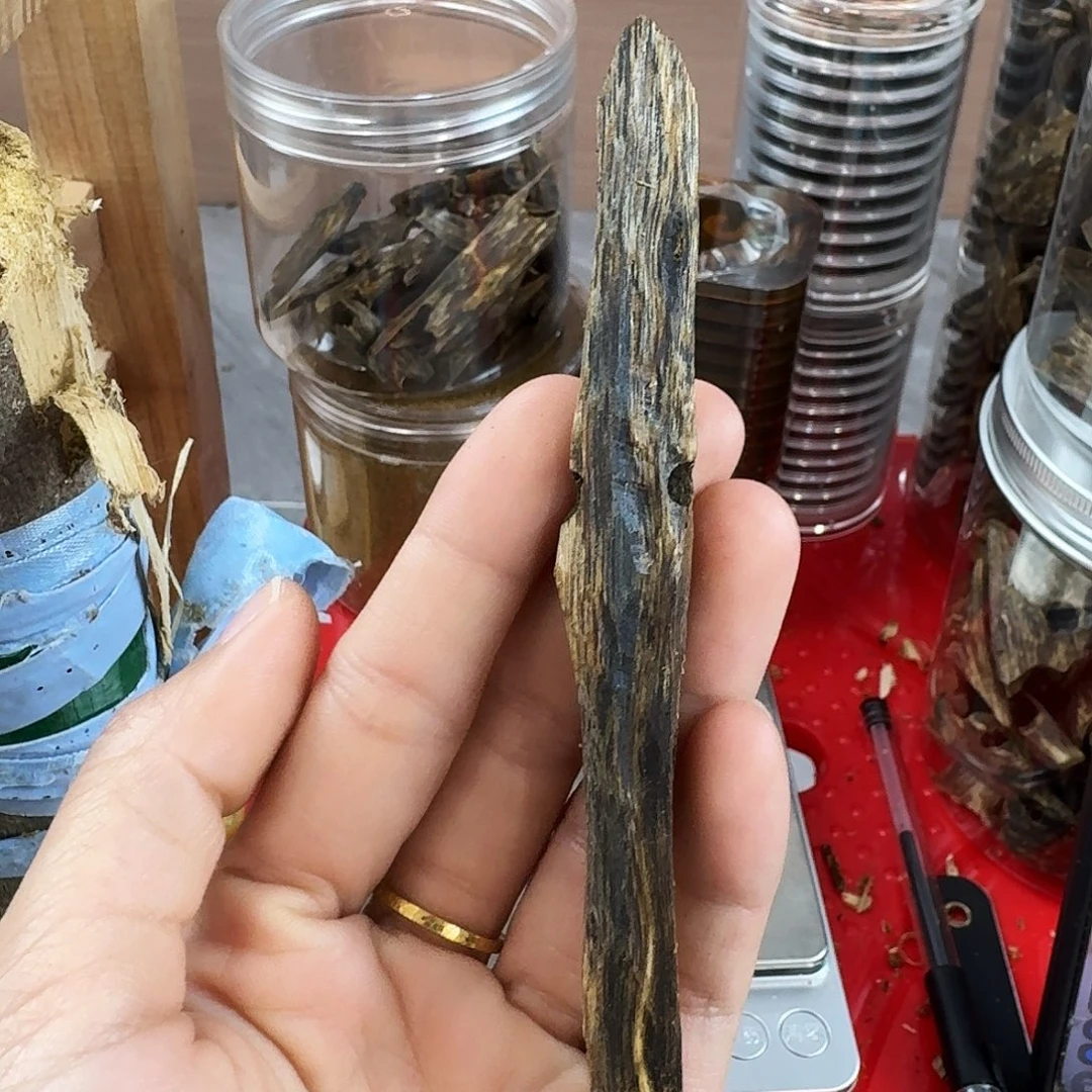 香料绿奇楠虫漏8克