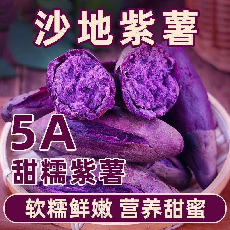 正宗沙地紫薯现摘现发3/5/9斤紫薯番薯红薯批发蔬菜