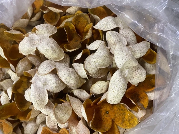 2024年福利款 22-30年树龄 油泡仔统货 广西浦北茶枝柑