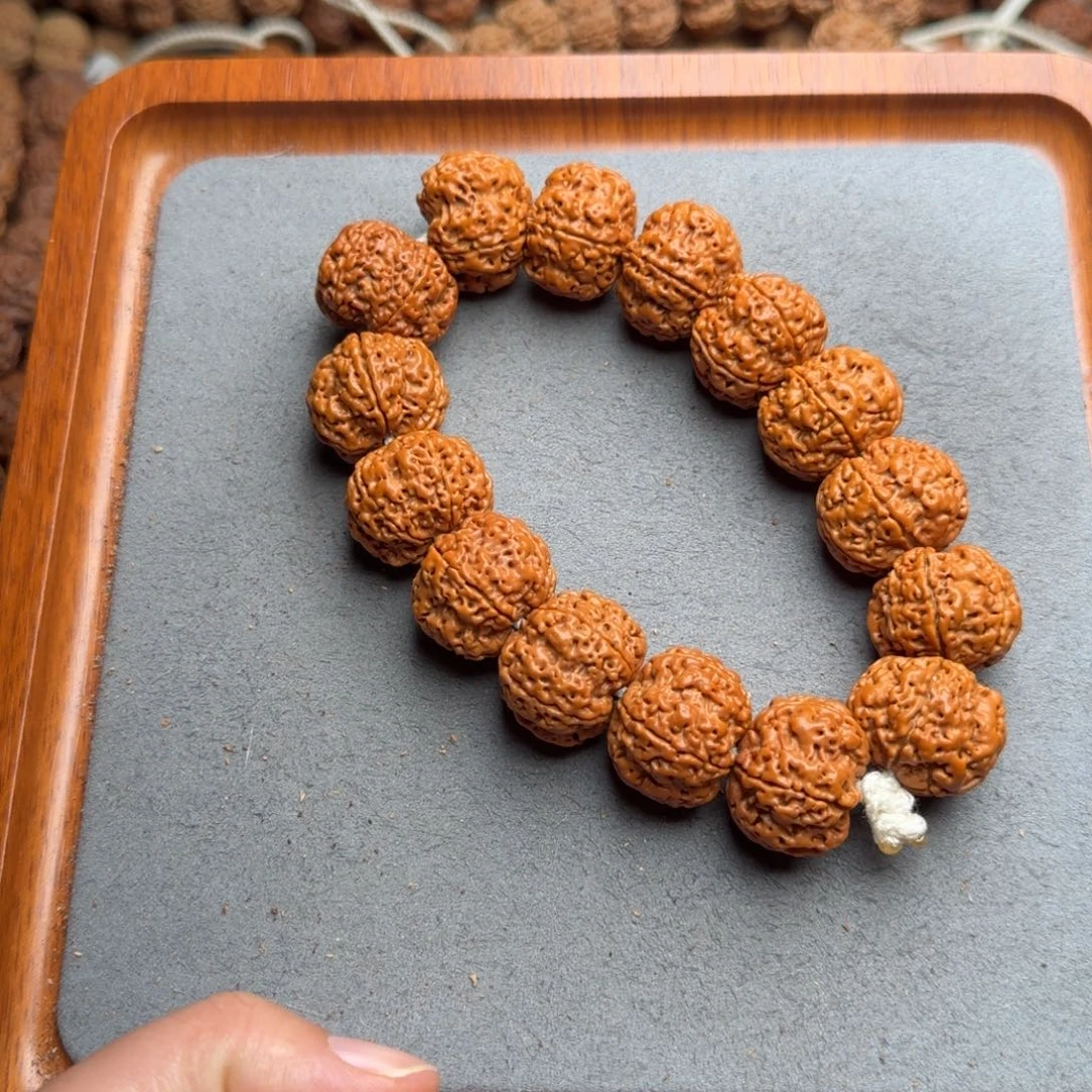 菩提菩提28号尼泊尔大金刚22梅花蜂窝