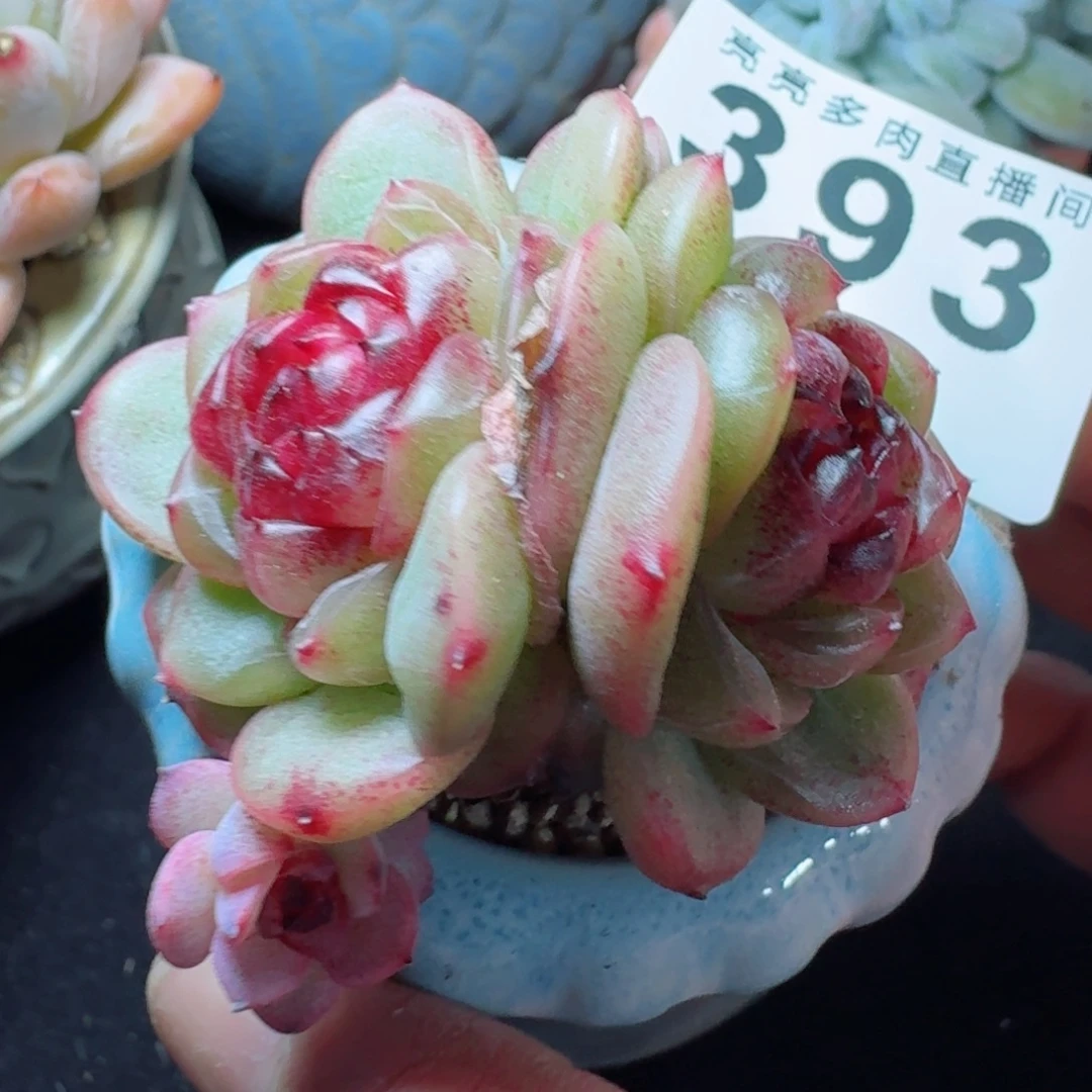 幽灵公主      愿你一路坦途，乘风破浪展宏图