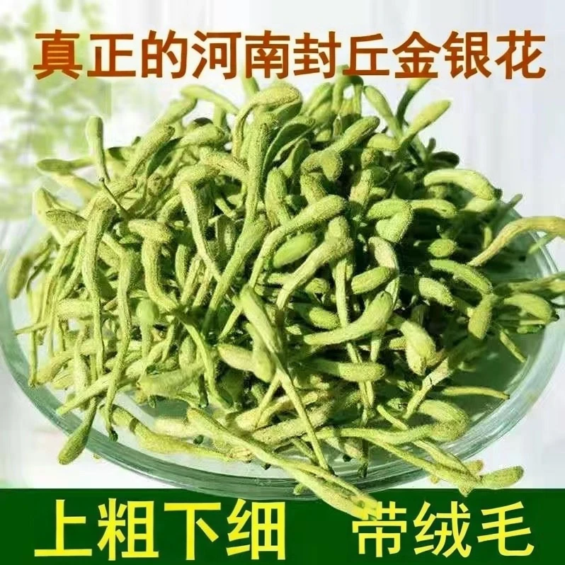 正宗带绒毛金银花河南封丘产地直发头茬新货无硫支持试喝的花草茶