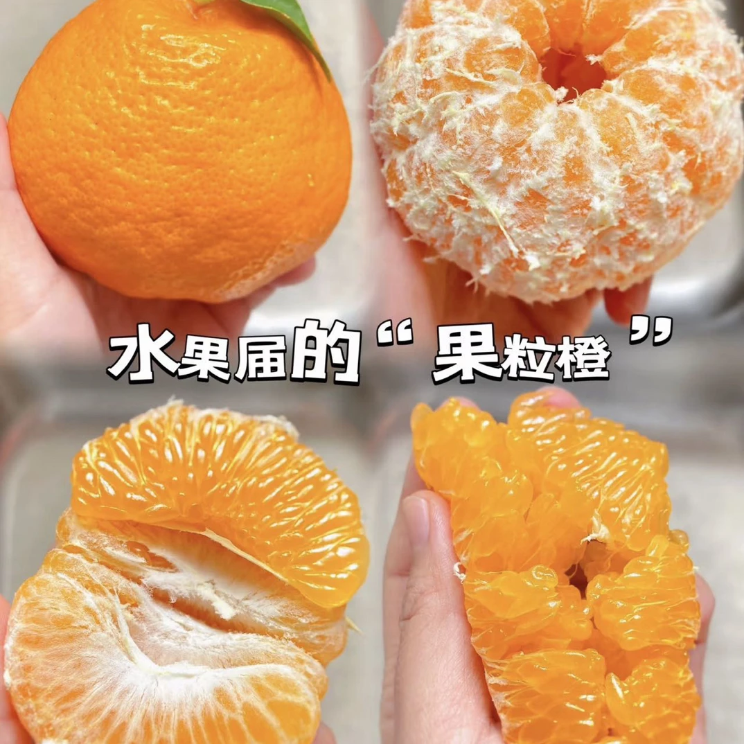 【北纬35° 270天生长】精品春见柑橘  只摘顶果 3.5公斤四川省