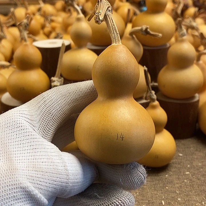 文玩葫芦 完美主义者 慎拍14