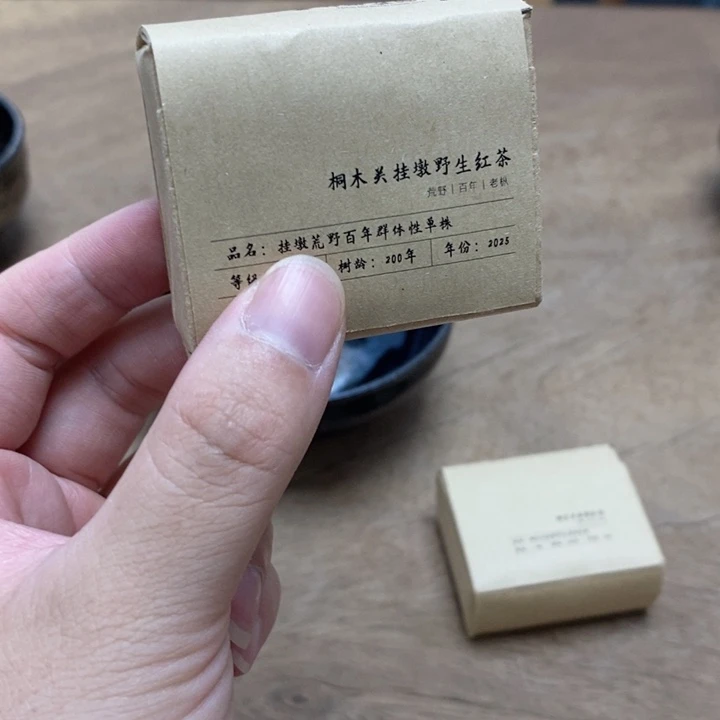 龙***1茶盏桐木关野生群体单株