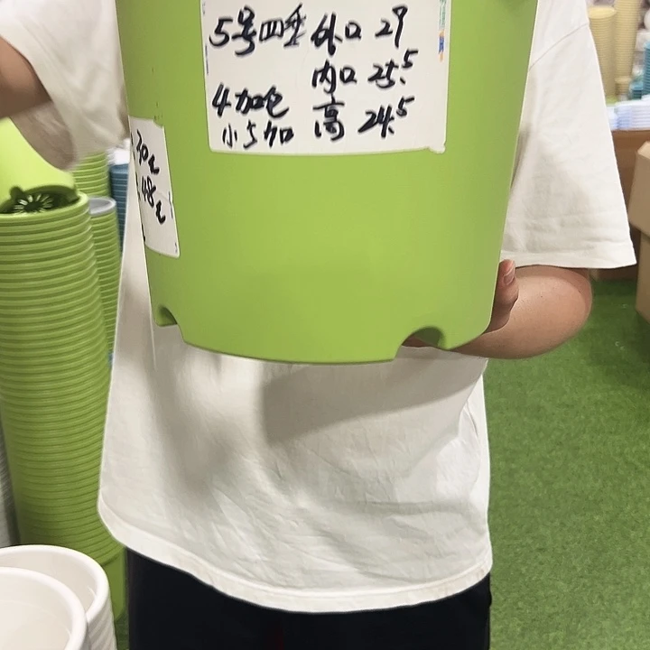 特价5号口29高24.5米色无托6只