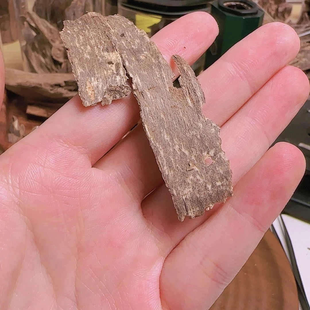 香港皮油老料沉香沉香0.6克