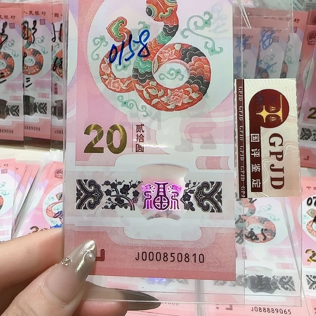 纸000850810。。。。。。。。5龙珠0158